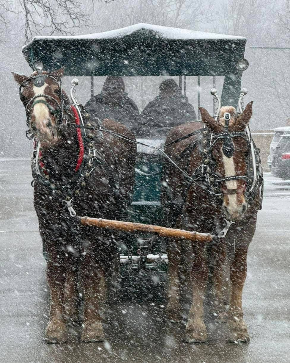 Horse drawn carriage service
