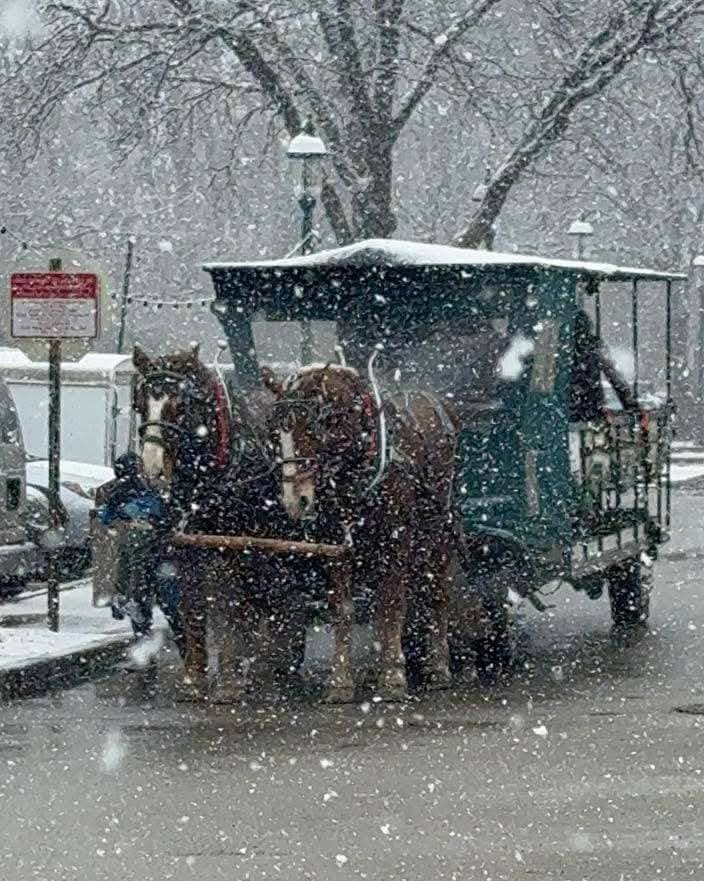 Scenic Tours